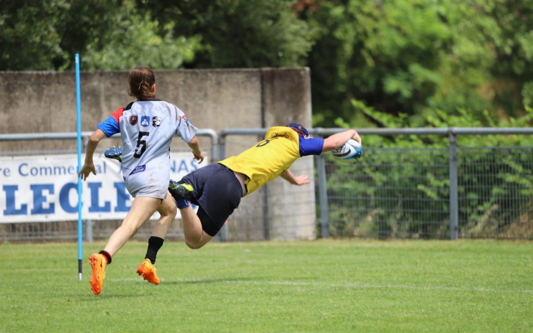 A LA CHATAIGNERAIE DE DUGRADUS