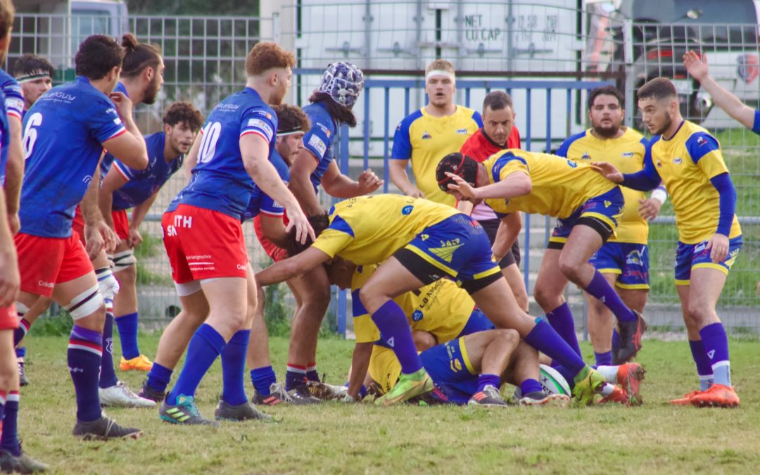 EN AVANT LES GLADIATEURS JAUNES & BLEUS