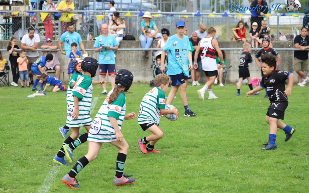 CHATAIGNE 2023  :  UNE BIEN BELLE REUSSITE