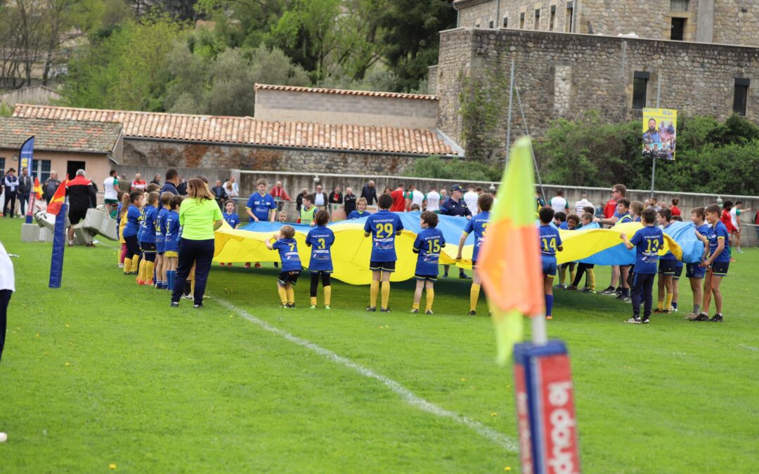 LE BLE QUI LEVE EN JAUNE & BLEU EN 2024
