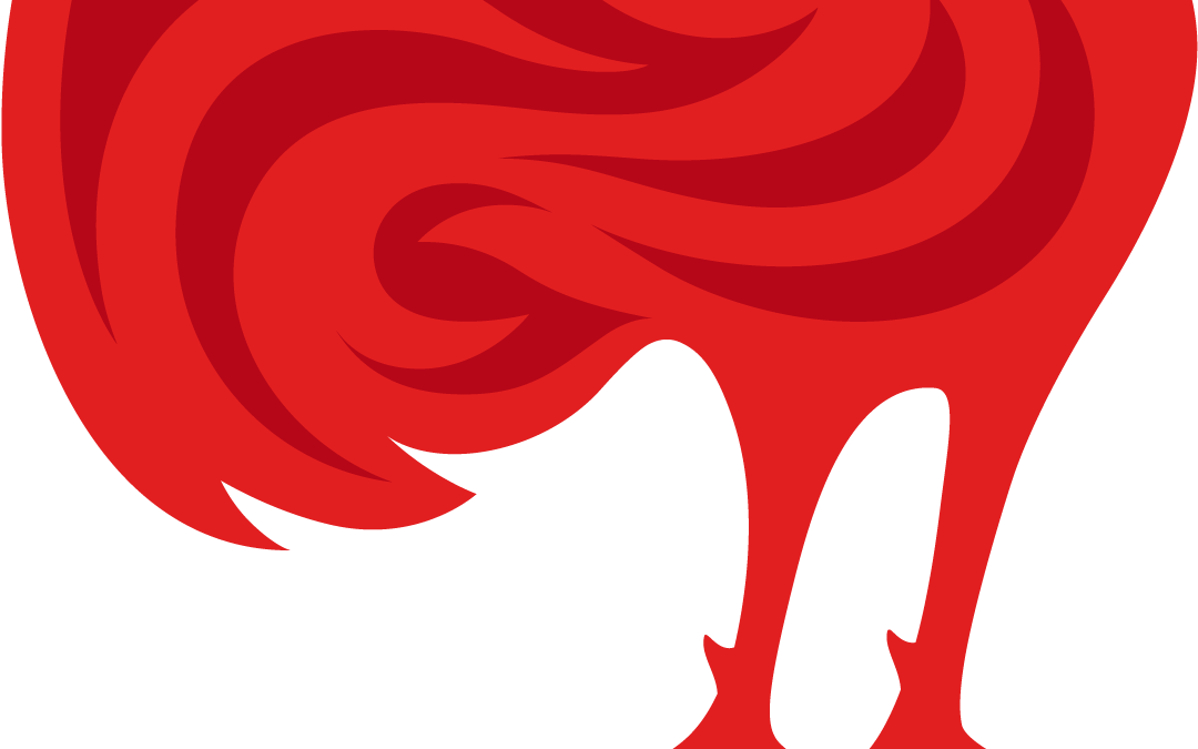 COMMUNIQUE OFFICIEL DU RCAV