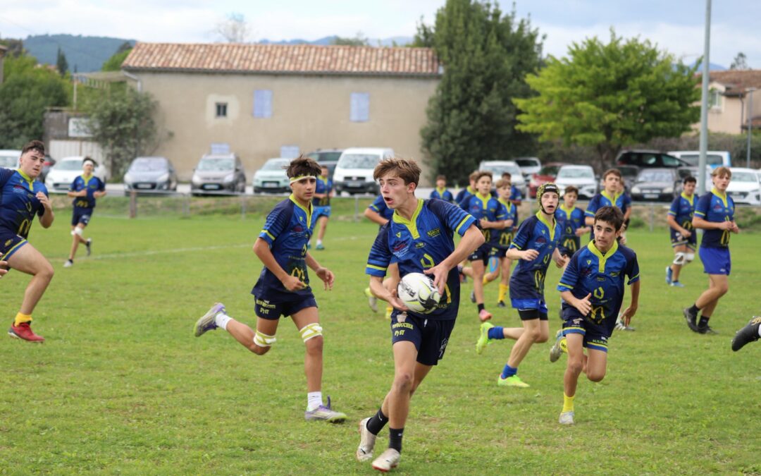 UNE FARANDOLE D’ESSAIS JAUNES & BLEUS A RIPOTIER
