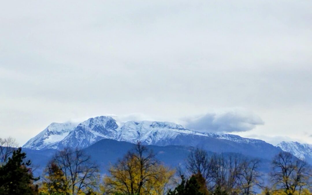 COUP DE FROID SUR LES ALPES