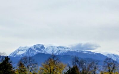 COUP DE FROID SUR LES ALPES